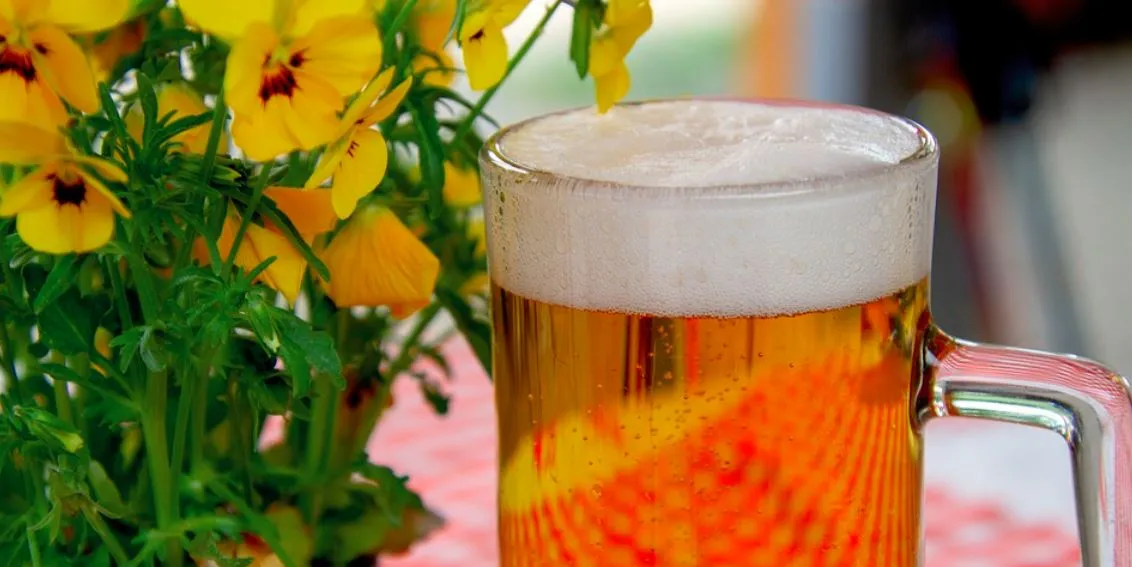 Bière bio artisanale : définition et avantages