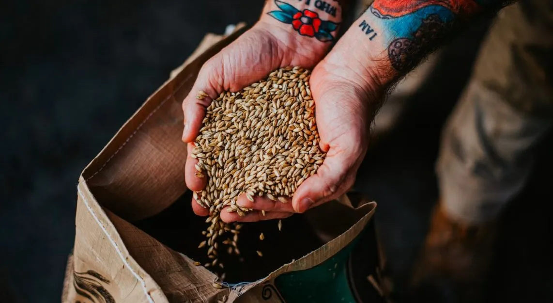 Kit bière artisanale : tout savoir sur la fabrication de sa propre bière maison