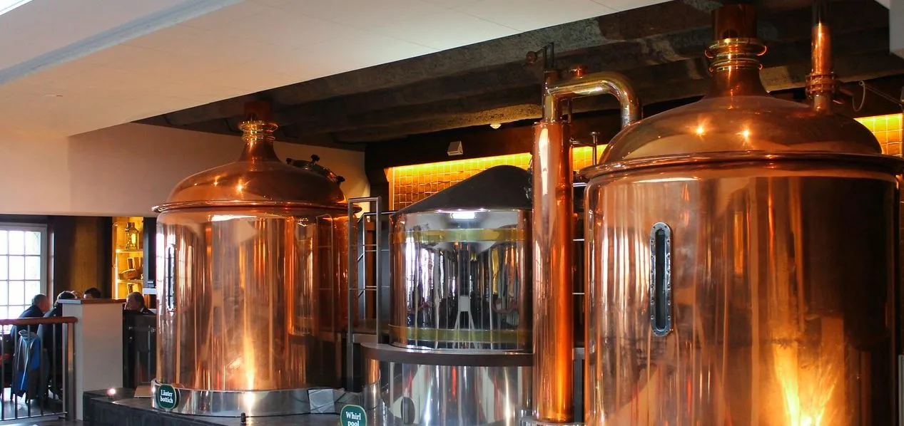 La fermentation de la bière