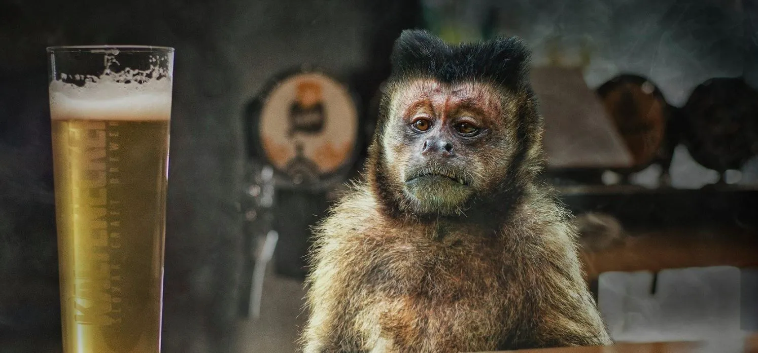 Les erreurs à ne pas faire pour boire de la bière