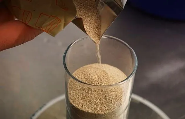 Qu'est ce que la levure de bière ?