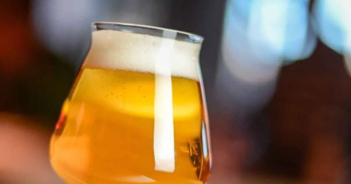 Qu'est-ce qu'une Sour Ale ou Wild Ale ?