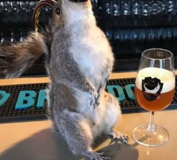 bière la plus forte BrewDog End Of History