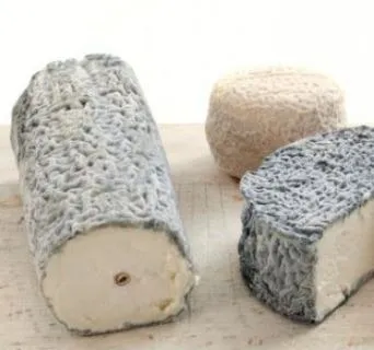 fromage de chevre bière